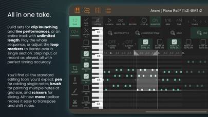 Atom | Piano Roll 2 Captura de pantalla de la aplicación #2