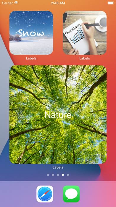 Labels Widget App screenshot