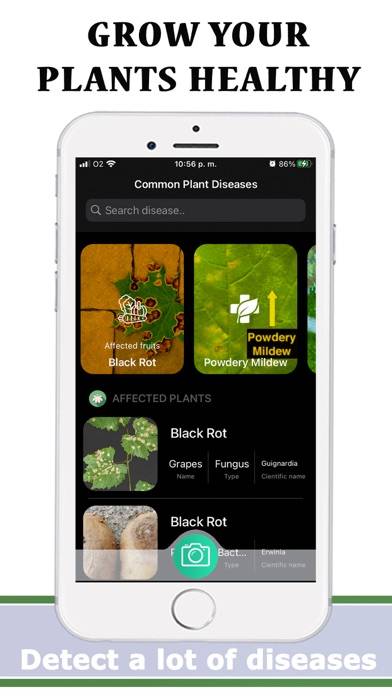 Plants Diseases Identifier App screenshot #3