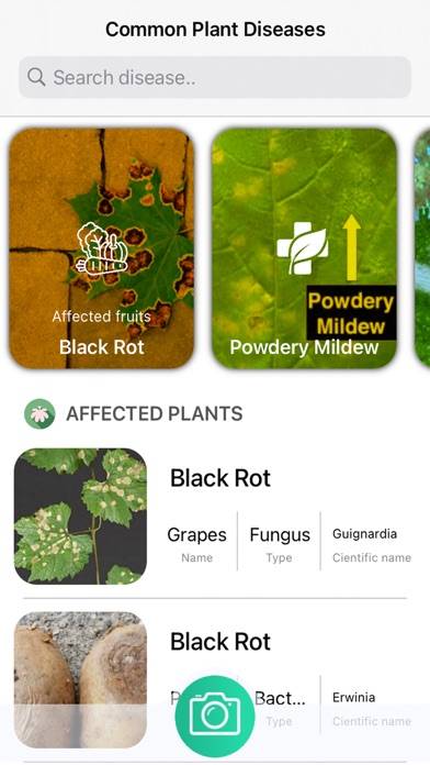 Plants Diseases Identifier App screenshot #4