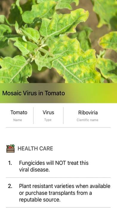 Plants Diseases Identifier App screenshot #5