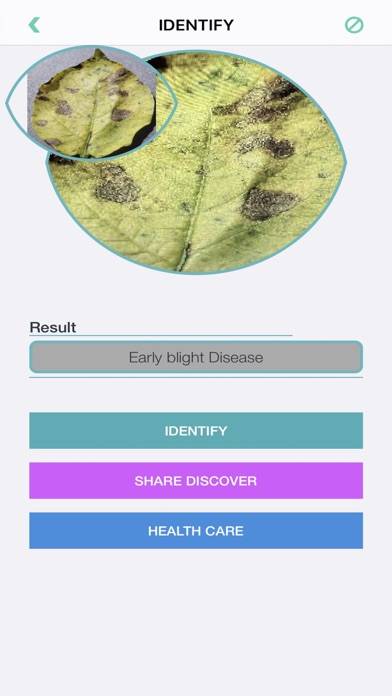 Plants Diseases Identifier Schermata dell'app #6
