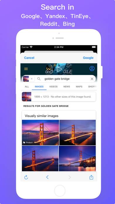 Power Reverse Image Search App screenshot #2