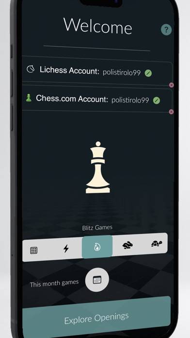 Chess Opening Analyzer screenshot