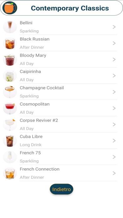 Ricette Cocktail IBA 2020 Schermata dell'app #2