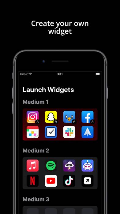 Launch Widgets App screenshot #1