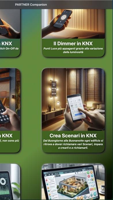PARTNER Companion Schermata dell'app