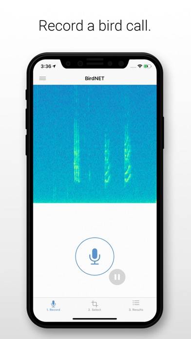 BirdNET App-Screenshot #1