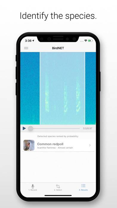 BirdNET App screenshot #2