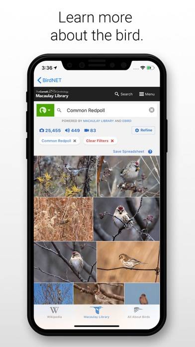 BirdNET App screenshot #3