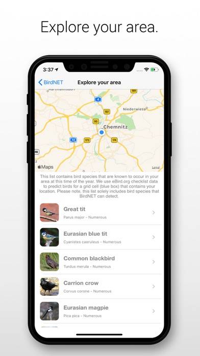 BirdNET App-Screenshot #4