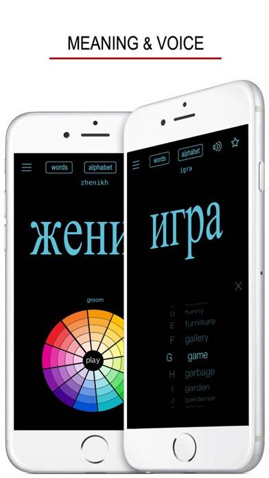 Russian Words & Writing App screenshot