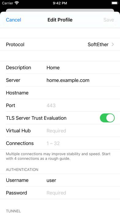 SSTP Connect Schermata dell'app #3