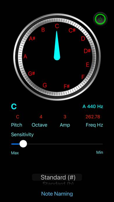 Accurate Chromatic Tuner Schermata dell'app #3
