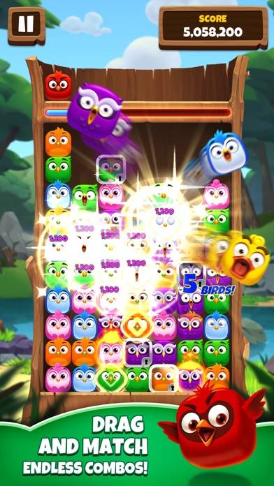 Birzzle Classic game screenshot