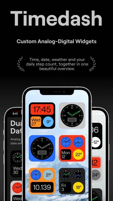 Timedash Widget App screenshot #1