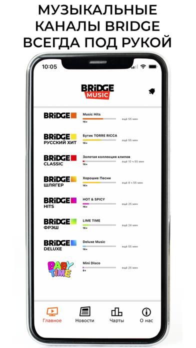 Bridge Music Скриншот