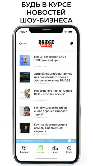 Bridge Music Скриншот приложения