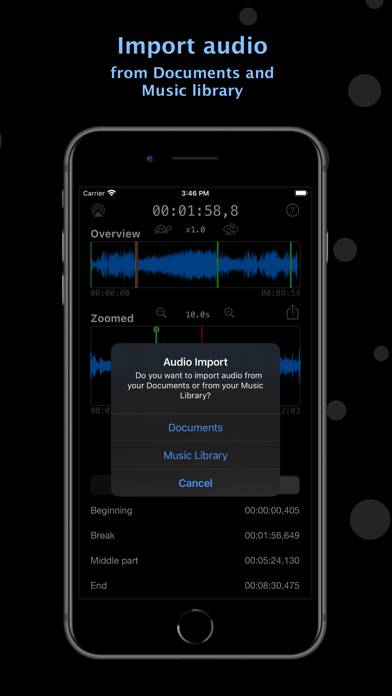 Audio Looper plus Schermata dell'app #2
