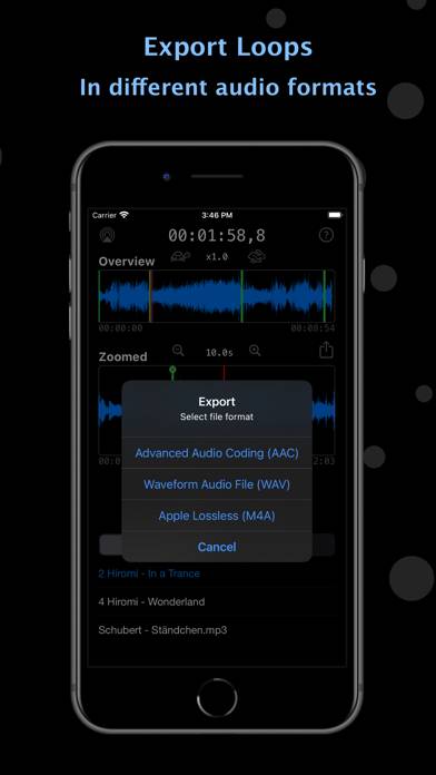 Audio Looper plus Schermata dell'app #4