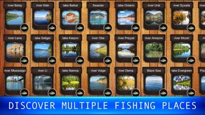 Fish Rain: fishing simulator App screenshot #6