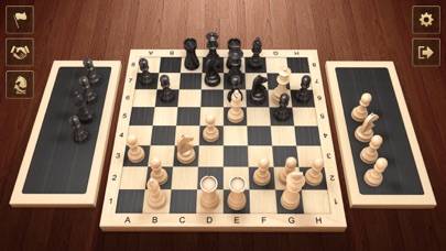 Шахматы - Шахматы онлайн