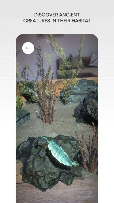 Museum Alive App screenshot #4