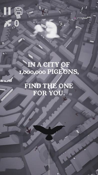 Pigeon: A Love Story App screenshot #1