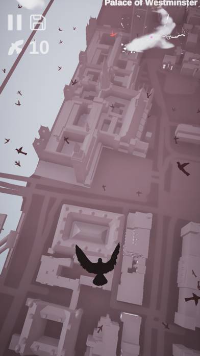 Pigeon: A Love Story Capture d'écran de l'application #2