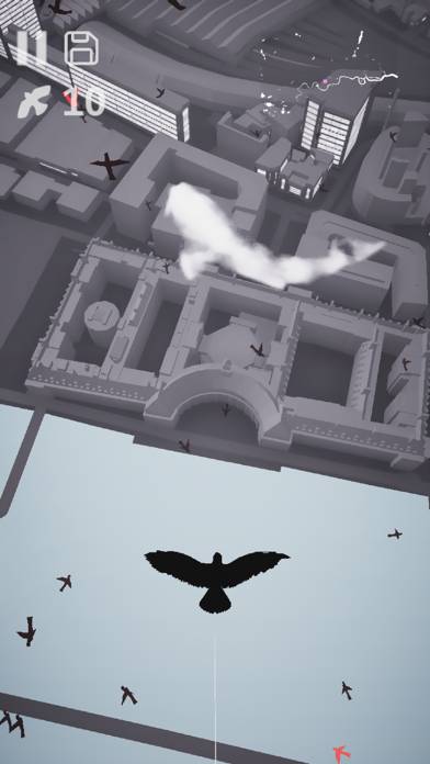 Pigeon: A Love Story App screenshot #4