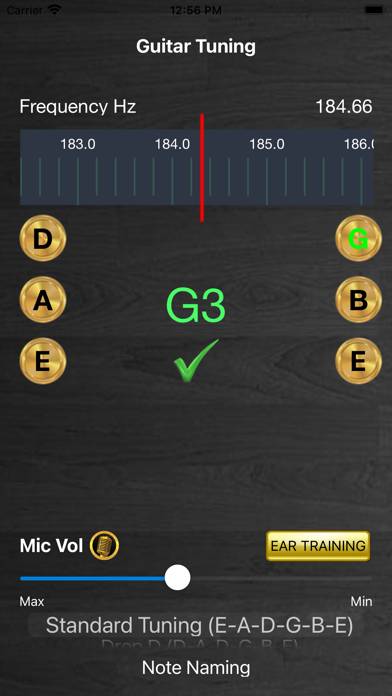 Guitar Tuning Tuner screenshot