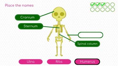 BodyQuest: Anatomy for kids App screenshot #3