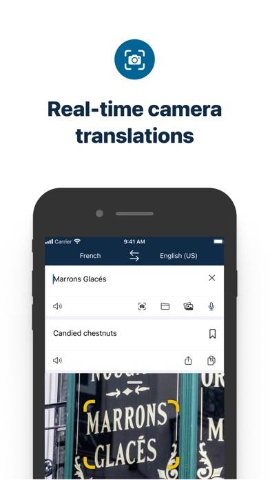 DeepL Translate Captura de pantalla de la aplicación #4