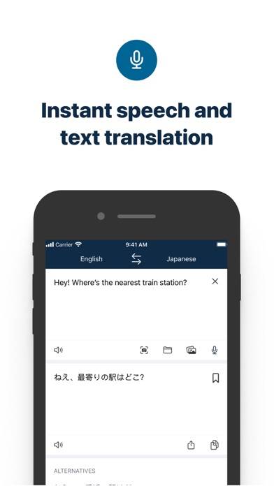 DeepL Translate Captura de pantalla de la aplicación #6