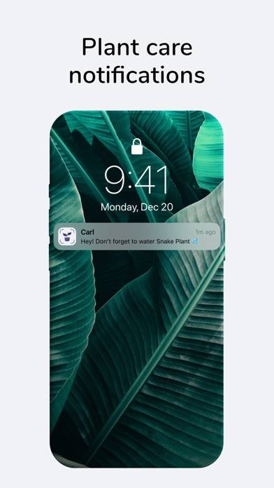 Carl: Plant & Tree Identifier Captura de pantalla de la aplicación #5