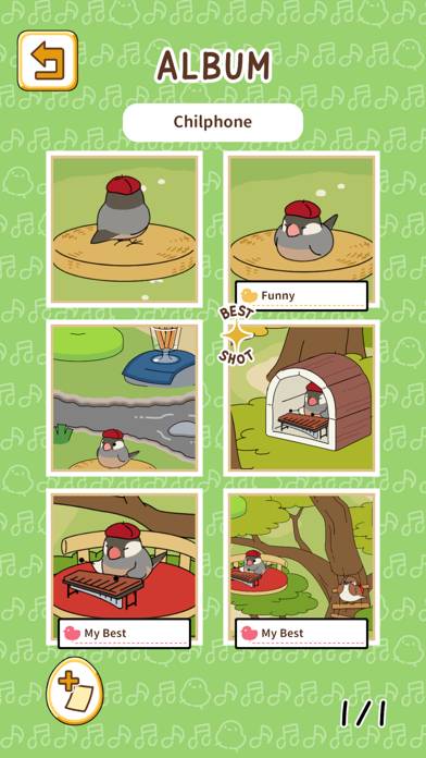 Tori Note captura de pantalla del juego