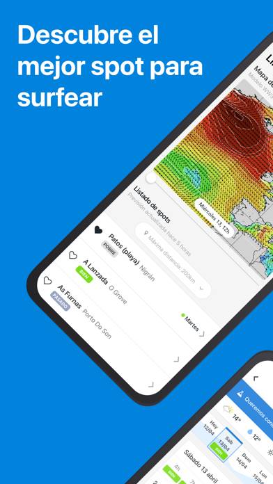 Lineup Surf Forecast Captura de pantalla de la aplicación
