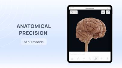 VOKA 3D Human Anatomy AR Atlas App screenshot #2