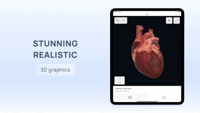 VOKA 3D Human Anatomy AR Atlas App-Screenshot #3