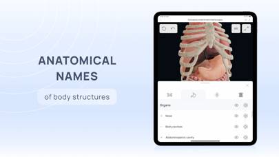VOKA 3D Human Anatomy AR Atlas App-Screenshot #6