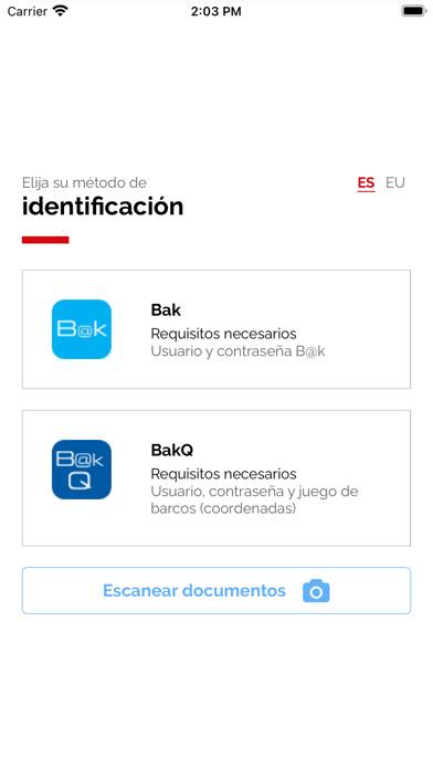 Renta Bizkaia Errenta Captura de pantalla de la aplicación