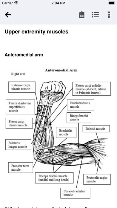 Orthopedic Anatomy