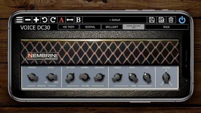 Voice DC30 Custom Valve immagine dello schermo