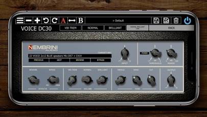 Voice DC30 Custom Valve immagine dello schermo
