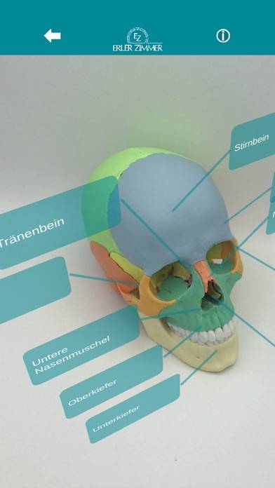 Augmented Anatomy captura de pantalla