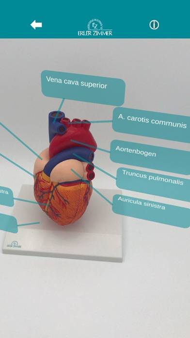 Augmented Anatomy Captura de pantalla de la aplicación