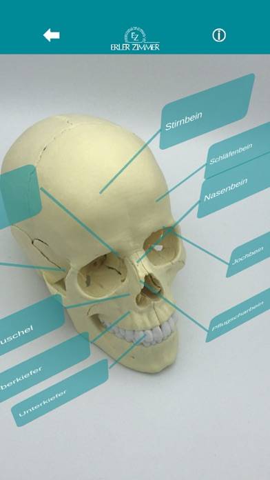 Augmented Anatomy Captura de pantalla de la aplicación