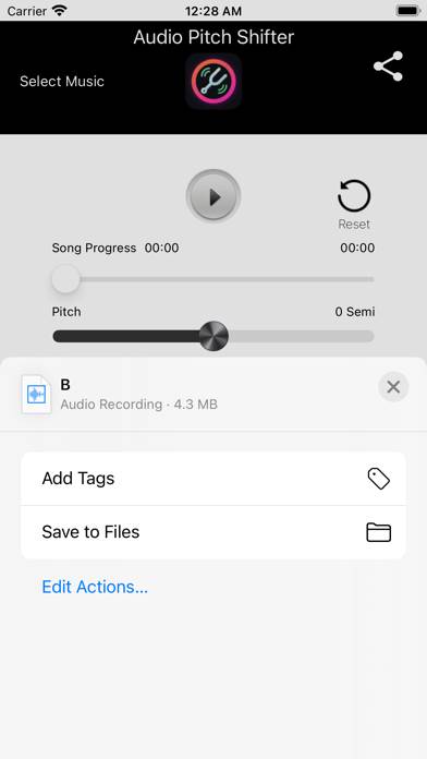 Audio Pitch Shifter Captura de pantalla de la aplicación #3