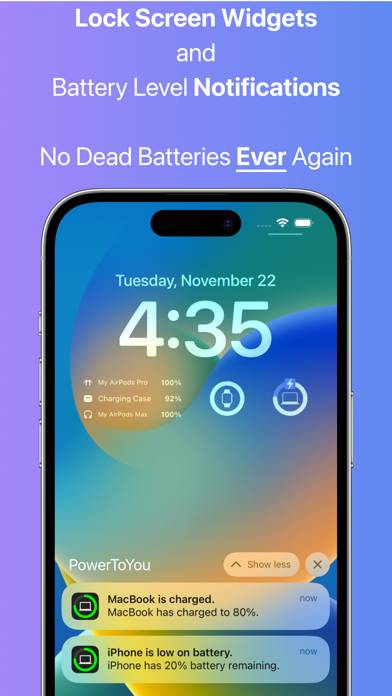 PowerToYou: Battery Widget Capture d'écran de l'application #4