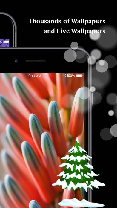 Live Wallpapers: 4K Elves Captura de pantalla de la aplicación #5